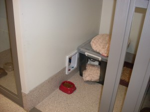 cattery3