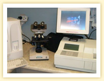 lab